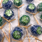 Earth Day Cake Pops - April 22nd - Candy's Cake Pops