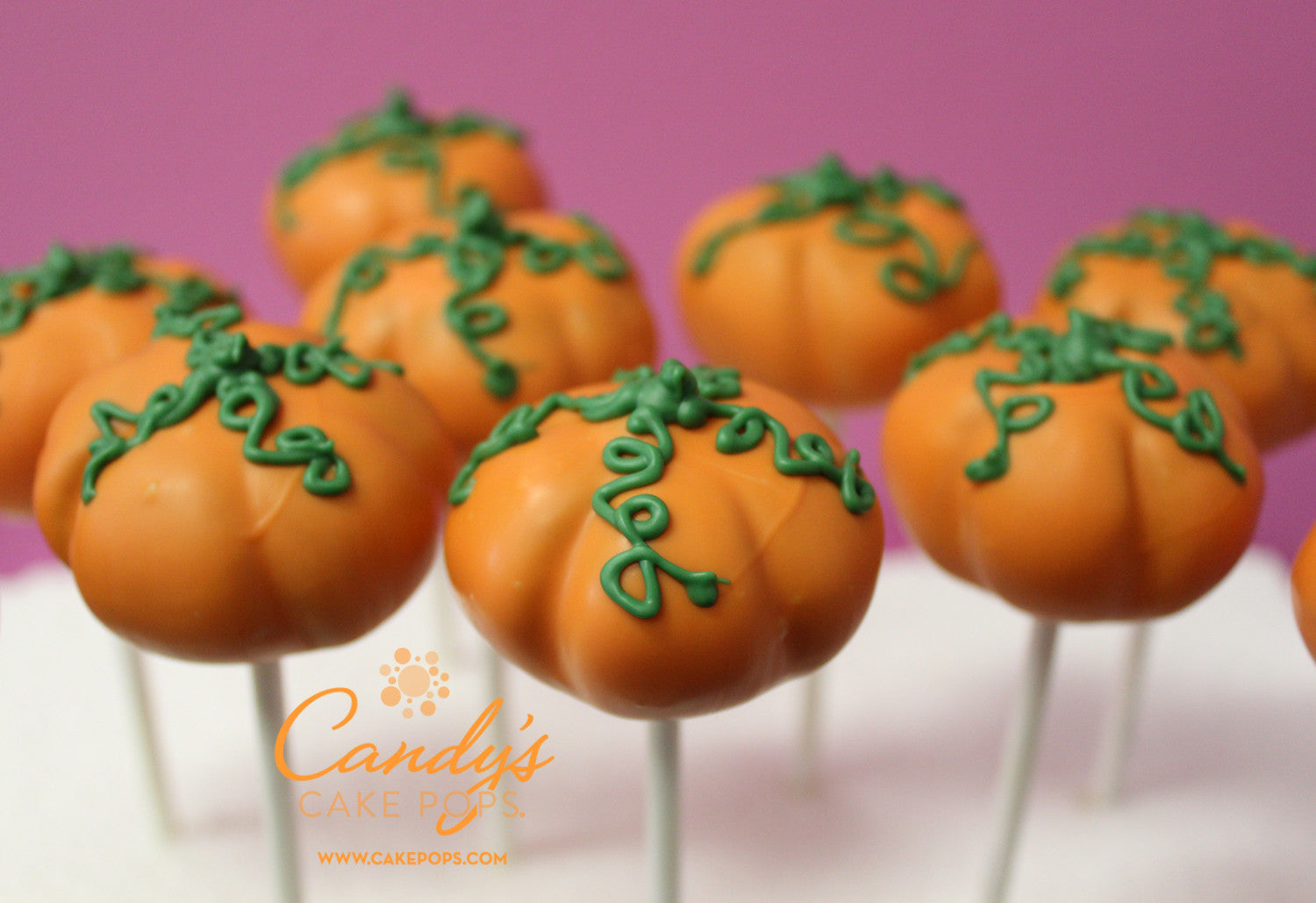 Pumpkin Cake Pops - Candy's Cake Pops